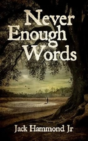 Never Enough Words cover